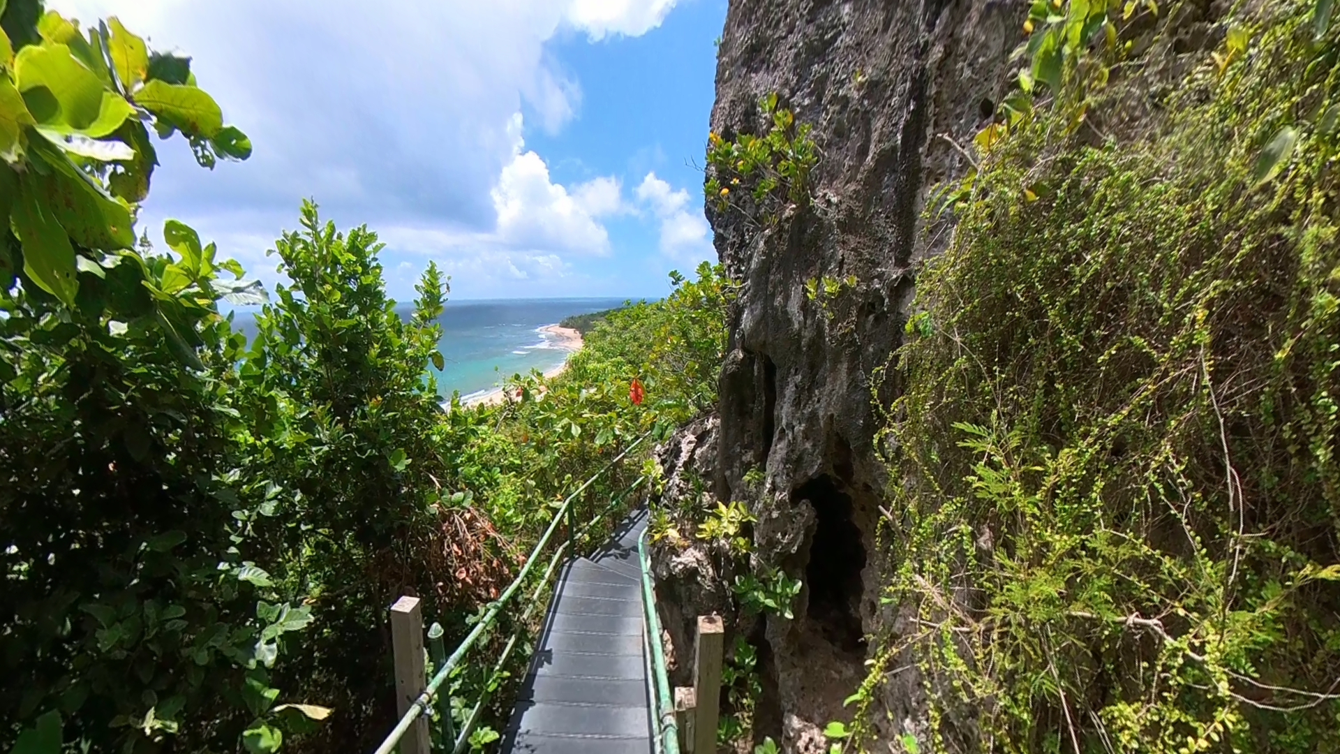 Survival Beach Stairs